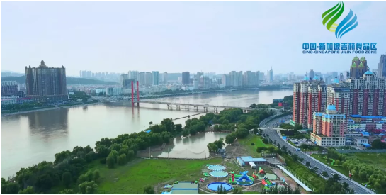 全力助推吉林(中國-新加坡)食品區委托招商引資,加快打造世界級安全食品生產示范區! 全力助推吉林(中國-新加坡)食品區委托招商引資,加快打造世界級安全食品生產示范區!