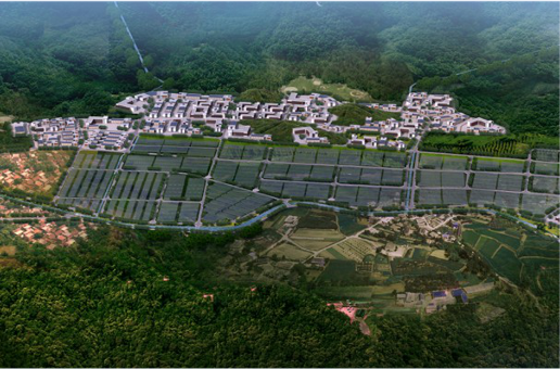 集團全力助推福建寧德周寧縣委托招商引資，強化特色產業實力，為全縣高質量發展增添新動力