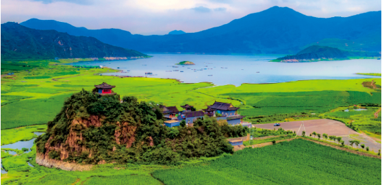 集團全力助推遼寧省遼陽縣委托招商引資，為打造東北產城融合新樣板插上騰飛的翅膀