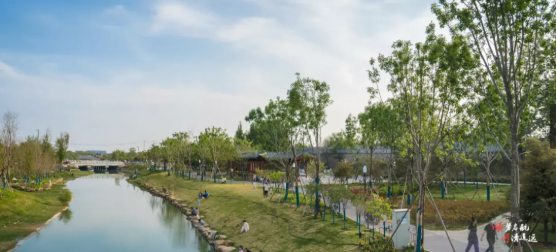 集團全力助推河南開封順河回族區委托招商引資，突出特色優勢，強化精準賦能，提升經濟活力