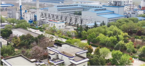 集團全力助推河南開封順河回族區委托招商引資，突出特色優勢，強化精準賦能，提升經濟活力