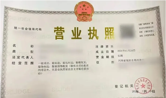 5天12天21天，集團高效服務再獲肯定！高品質運動鞋生產擴建投資選址項目落地河南鄧州市！