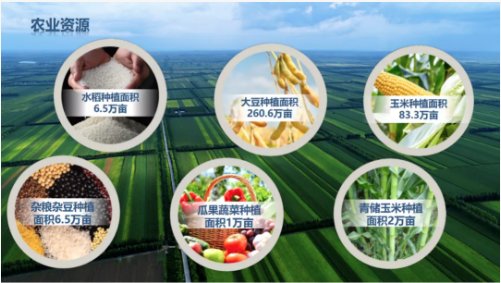 集團全力助推黑龍江齊齊哈爾拜泉縣委托招商引資，立足資源優勢，開辟產業集群高質量發展新高地
