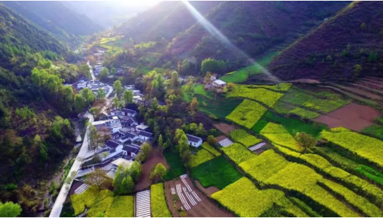 集團全力助推甘肅隴南康縣委托招商引資，以綠色發展推動鄉村振興