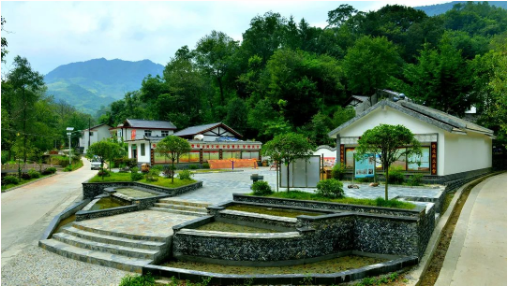 集團全力助推甘肅隴南康縣委托招商引資，以綠色發展推動鄉村振興