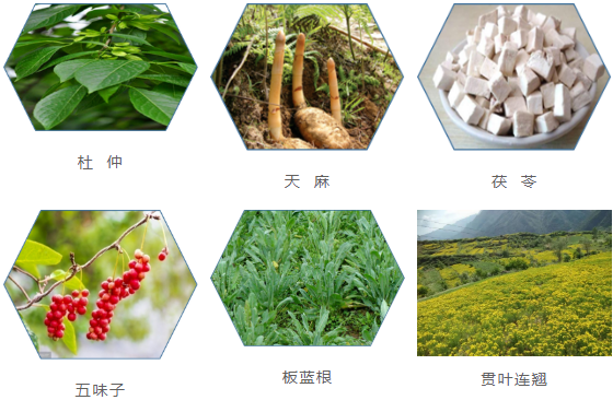 集團全力助推甘肅隴南康縣委托招商引資，以綠色發展推動鄉村振興
