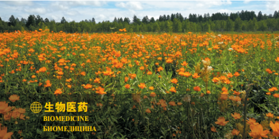 集團全力助推黑龍江大興安嶺委托招商引資，聚力將“冷資源”轉化為“熱經濟”！