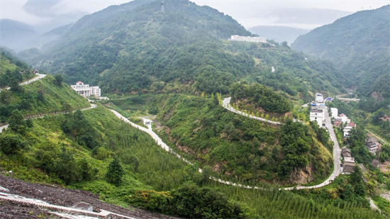 集團全力助推甘肅隴南武都區委托招商引資，將地域資源優勢轉化為經濟發展新動能