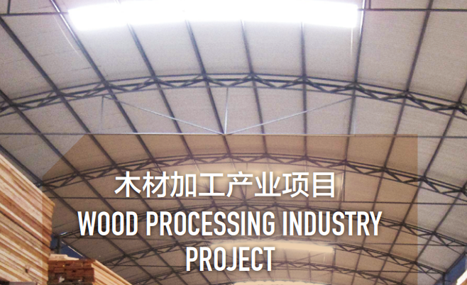 集團全力助推黑龍江省同江市委托招商引資，充分挖掘開發潛能，再次綻放邊陲魅力