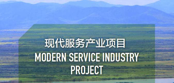 集團全力助推黑龍江省同江市委托招商引資，充分挖掘開發潛能，再次綻放邊陲魅力