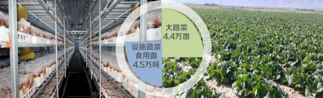 集團全力助推陜西淳化縣委托招商引資，激發產業新活力，培育發展新動能！