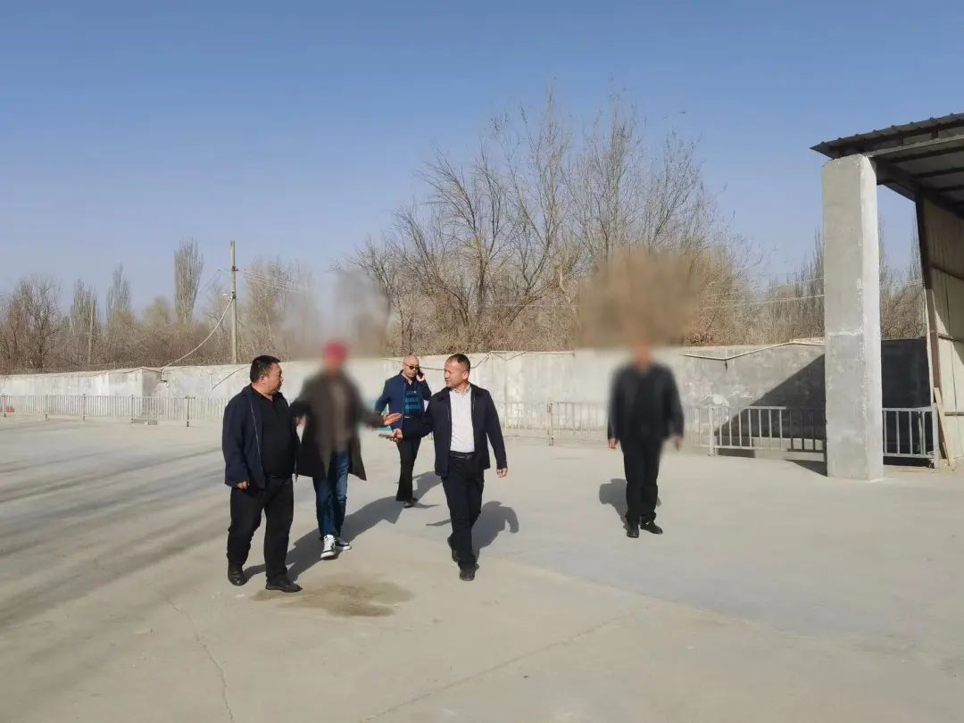 用時僅17天，投資額10億！新疆某地方政府與肉羊養殖加工產業投資選址項目成功簽訂投資協議