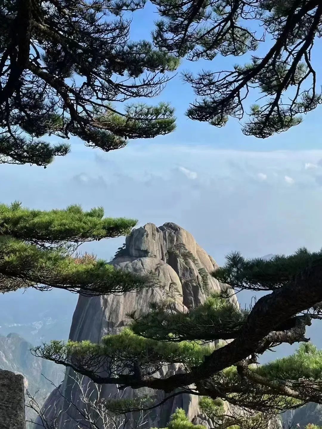 東方龍商務與春天有個約會！集團100余人赴安徽黃山“團建”，太嗨了！“奔跑二季度”——我們準備好了！