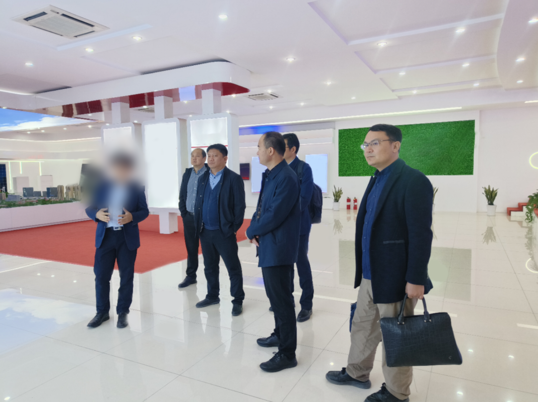 投資10億，產值20億！安徽某地方政府實地對接行業領先儲能投資選址項目