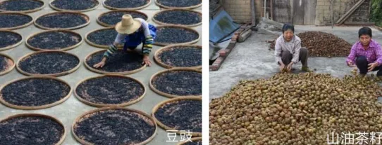 集團全力助推廣西賀州昭平縣委托招商引資，助力產業蝶變升級！